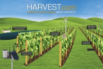 Vineyard System Diagram