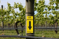 Soil Moisture Sensor Label