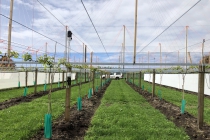 Stainless steel Drop Pole