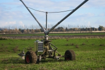 Effluent Irrigator Monitor