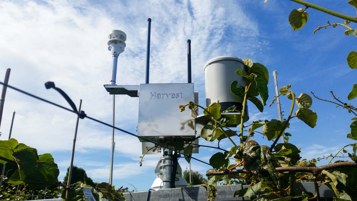 Frost Alarm