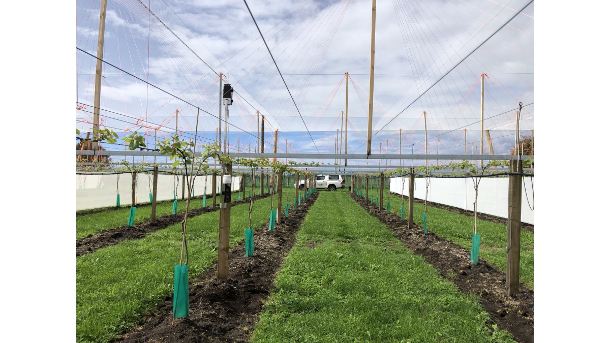 Stainless steel Drop Pole
