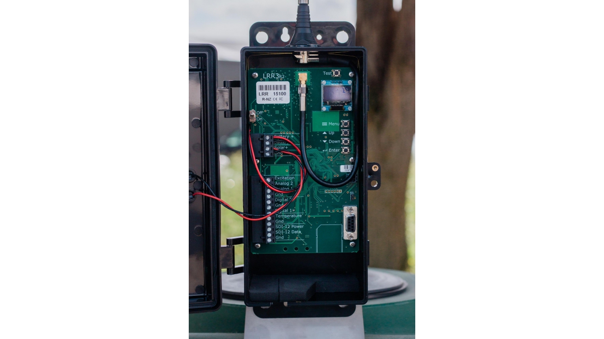 LRR3 internal