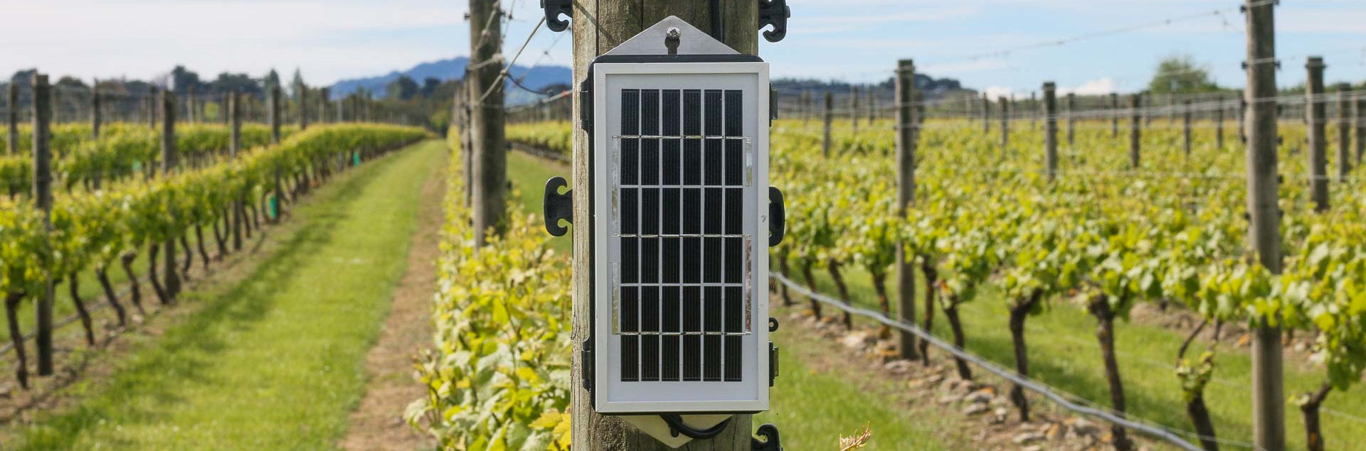Frost Alarms